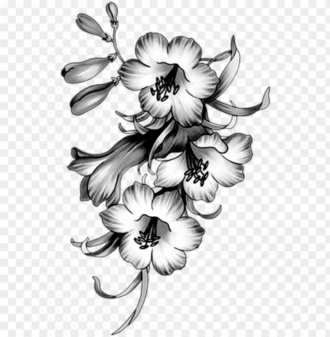 Фотки sketch 2 paper craft black and white tatuajes - flower borders and frames Transparent PNG Isolated Object Design