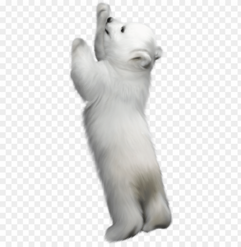 Фотки winter backgrounds bear clipart winter clipart - polar bear standing up PNG transparent pictures for editing