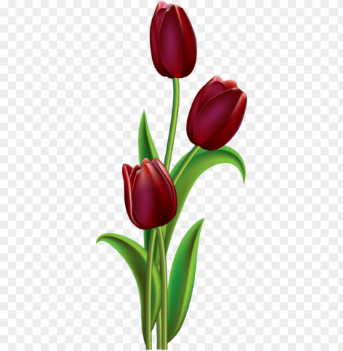 Фото Автор soloveika На Яндекс - fabric painting tulip flowers PNG with no bg