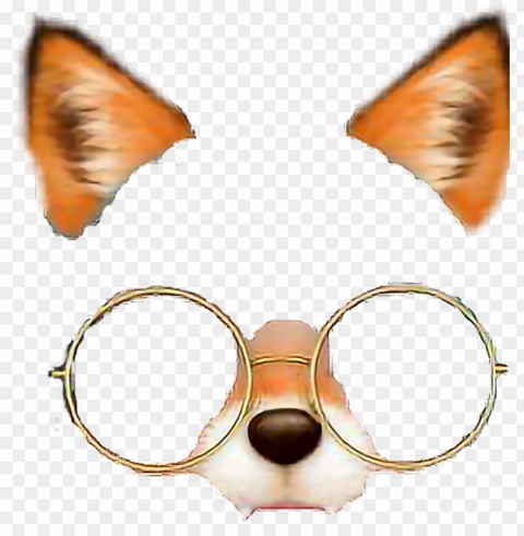fox foxfilter glasses filter - snow filters Isolated Icon on Transparent PNG