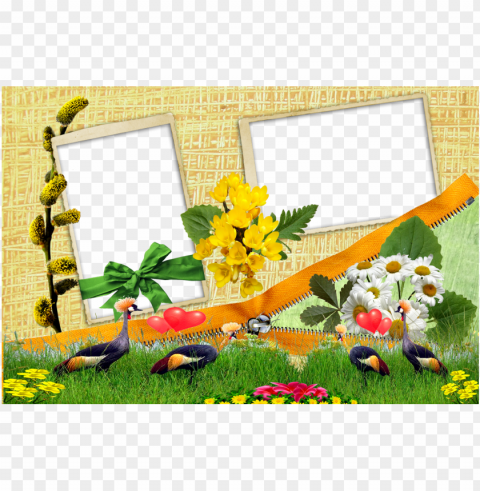 frame - 2 photo frame Isolated Item with Transparent PNG Background