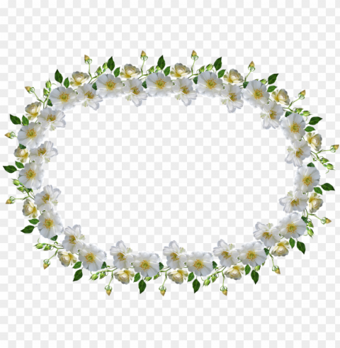 frame border white rose floral - bingkai bunga mawar putih Transparent PNG stock photos