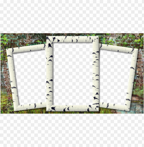 frame photo frame birch three photo - three photo frame Transparent PNG images complete library