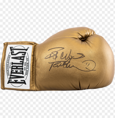 frank bruno signed gold everlast boxing glove - anthony joshua signed glove Transparent PNG Isolated Subject
