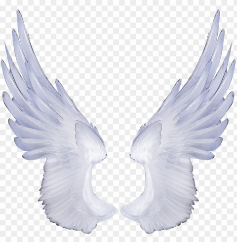 free angel wings transparent background - melek kanatları PNG for presentations PNG transparent with Clear Background ID 3ac47491