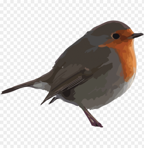 free bird clipart - robin clipart Isolated Character on Transparent PNG
