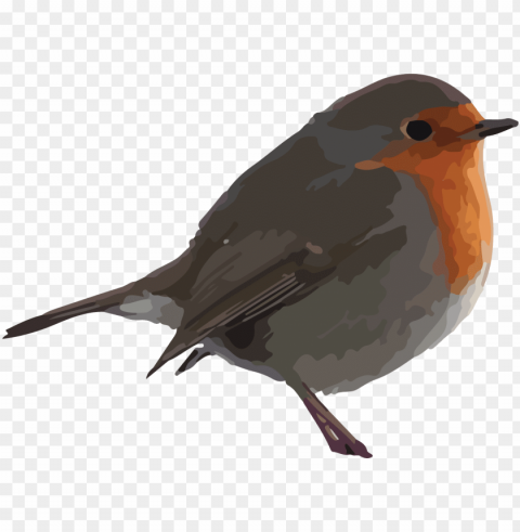 Free Bird Clipart - Robin Clipart Isolated Character On Transparent PNG