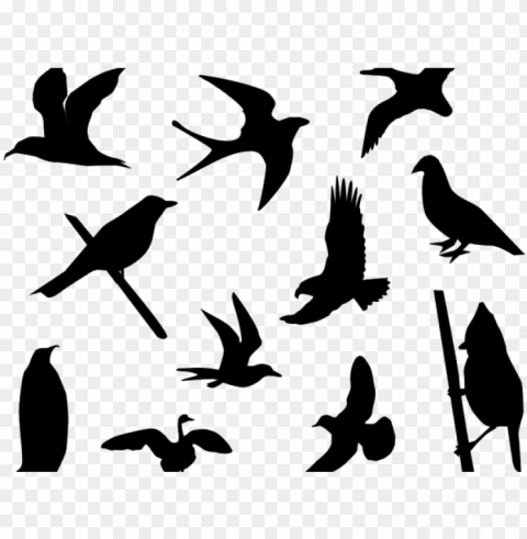 free bird silhouette vector PNG files with no background wide assortment