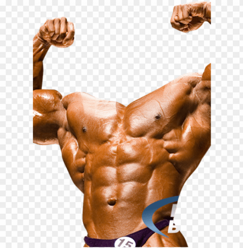 free bodybuilder photo - bodybuilder photo montage PNG images with no background needed PNG transparent with Clear Background ID b478fc9e