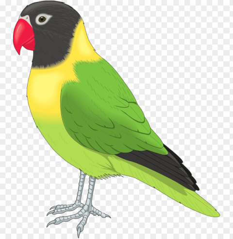 free clip art animals - pet bird clipart Isolated Object in HighQuality Transparent PNG