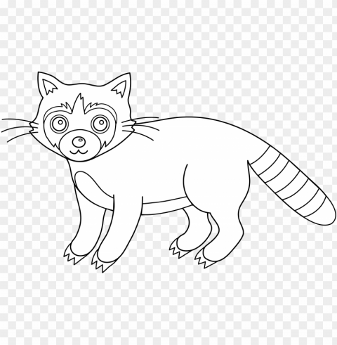 free clip art - raccoon coloring pgs PNG transparent photos for presentations
