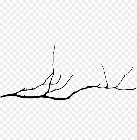 free download - bare tree branch PNG images with transparent elements pack