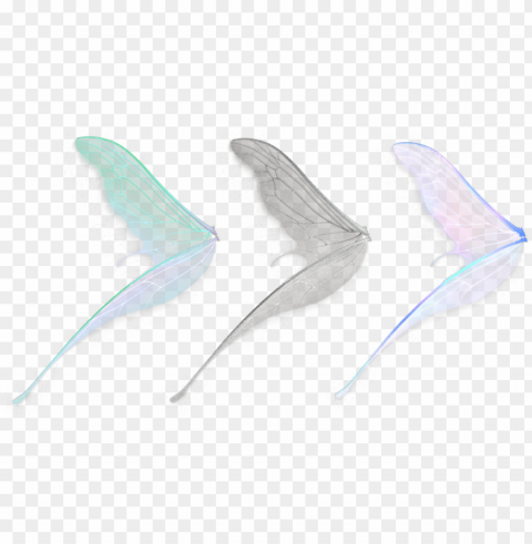 free download fairy wings - fairy wings transparent Images in PNG format with transparency