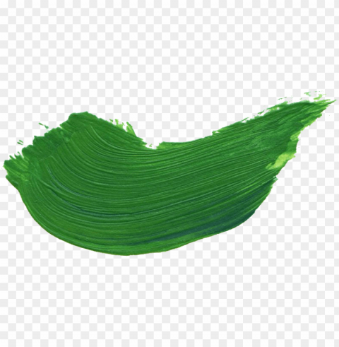 free download - green paint stroke High-resolution transparent PNG images comprehensive assortment