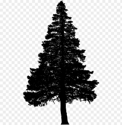 free download - pine tree silhouette PNG Image Isolated with Transparent Clarity