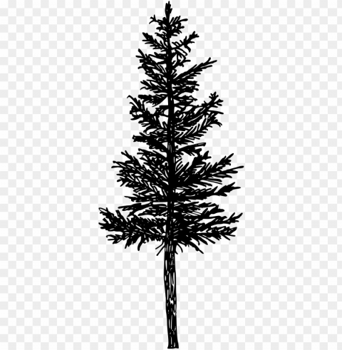 free download - pine tree silhouette PNG transparent graphics comprehensive assortment