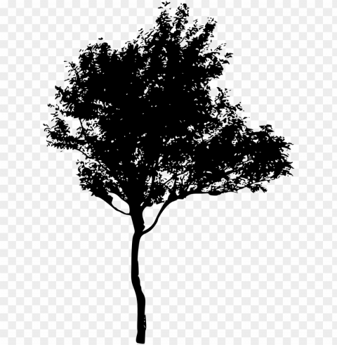 free download - silhouette of trees PNG images with no background needed