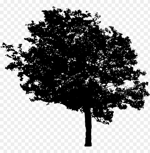 free download - tree in black Transparent image