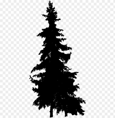 free download - tree silhouette pine tree High Resolution PNG Isolated Illustration