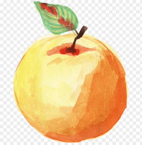 Free Download - Watercolor Orange Fruit PNG With Transparency And Isolation