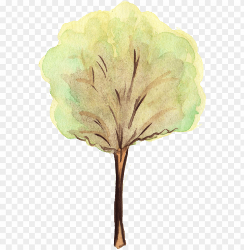 free download - watercolor tree Isolated Graphic Element in Transparent PNG