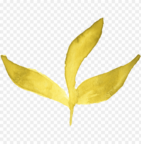 free download - watercolor yellow leaves PNG files with no background wide assortment PNG transparent with Clear Background ID 6342ee80