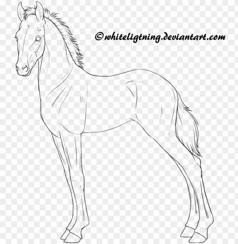 free horse lineart - horse drawing foal PNG files with transparency
