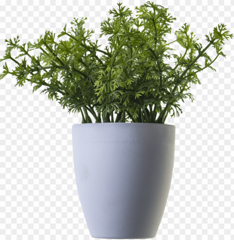 free icons - plant in pot PNG images with transparent elements pack PNG transparent with Clear Background ID 7fd2d19f