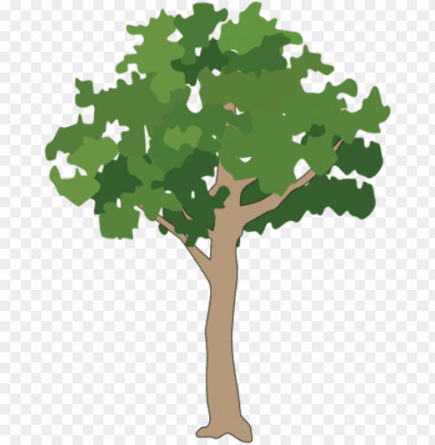free icons - rainforest tree vector Isolated Graphic on Clear Background PNG
