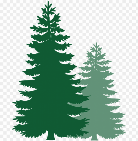  image on pixabay pine trees spruce trees pine - pine tree vector Free PNG transparent images