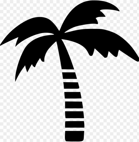 free palm tree icon - coconut tree vector Transparent background PNG photos