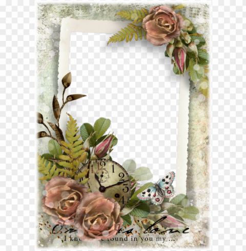 free photo frames free frames set nature frames - transparent beautiful frames PNG file with no watermark
