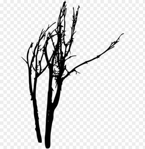 free bare tree silhouette images - portable network graphics Isolated Item with Transparent Background PNG
