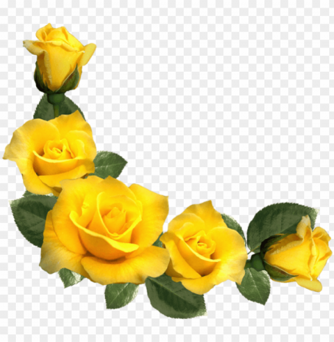 free beautiful yellow roses decor images transparent - yellow rose border PNG with alpha channel
