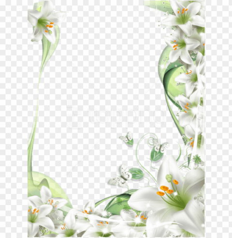 free best stock photos photo frame with white lilies - frame white flowers Transparent PNG graphics variety