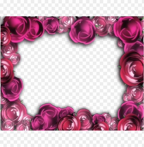 free best stock photos transparent pink roses frame PNG images for graphic design
