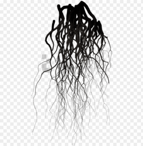 free black veins image with background - background roots PNG transparent photos library