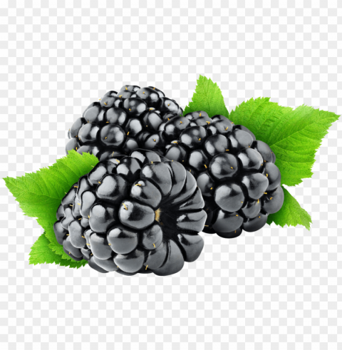 Free Blackberry Images Transparent - Black Berry Fruit PNG For Educational Projects