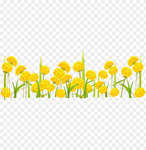 free dandelion images - yellow flower clipart Transparent Background Isolation in PNG Format
