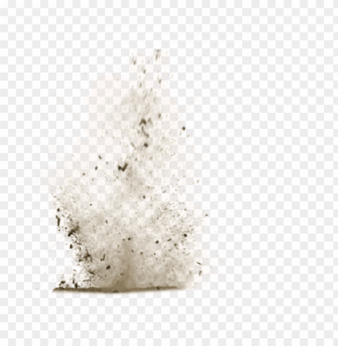 free dirt splatter image with transparent - dirt explosion Clean Background Isolated PNG Art