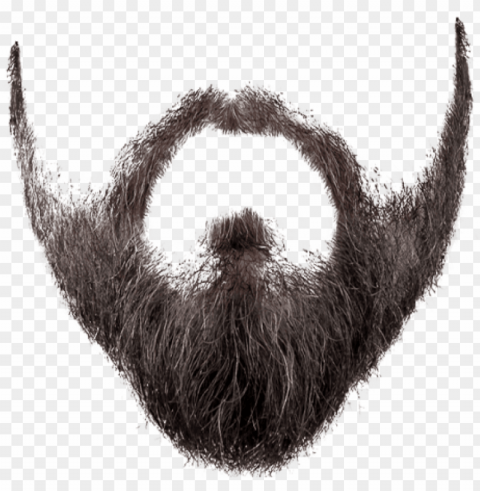 free download beard styles images background - background beard Transparent PNG picture