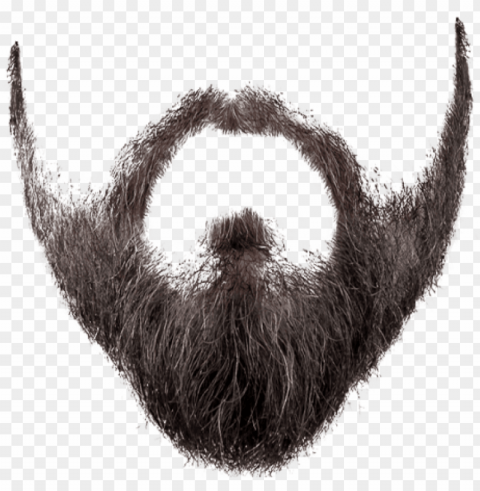 Free Download Beard Styles Images Background - Background Beard Transparent PNG Picture