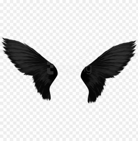 free download black wings images background - background wings Transparent PNG Isolated Graphic with Clarity