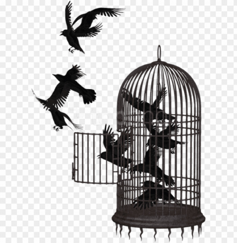  cage bird crow clipart photo - caged bird freedom quotes Free download PNG images with alpha transparency