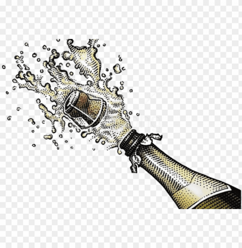 free download champagne popping background - popped champagne bottle High-quality transparent PNG images