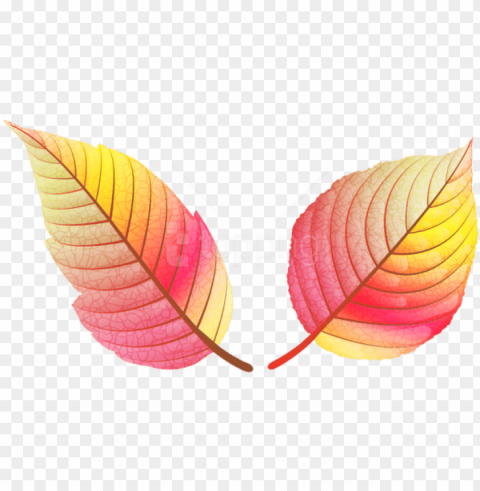 free download colorful fall leaves clipart - colored fall leaves PNG images with alpha transparency wide collection