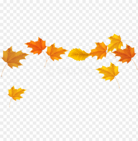 free download fall leaves picture clipart photo - fall leaves transparent background PNG Graphic Isolated with Transparency