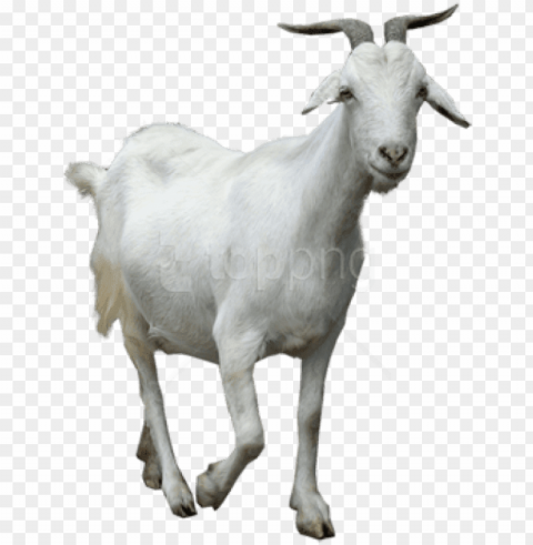 free download goat background - baker mayfield the goat PNG images with clear backgrounds