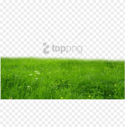 free download grass hd images background - deviantart grass PNG files with transparent canvas extensive assortment
