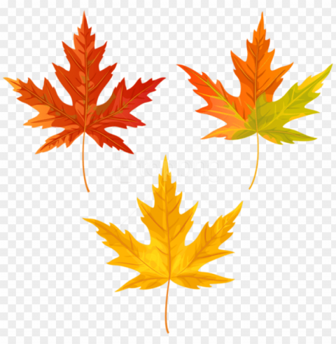 free download orange fall leaves clipart photo - maple leaf ClearCut Background Isolated PNG Graphic Element PNG transparent with Clear Background ID 808249d9